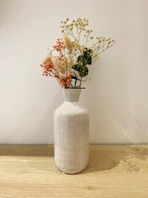Appartement F3 & Solferino 里尔 外观 照片