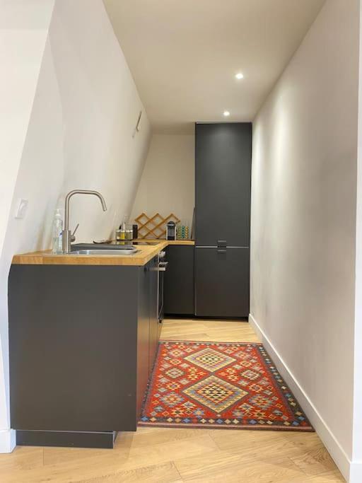 Appartement F3 & Solferino 里尔 外观 照片