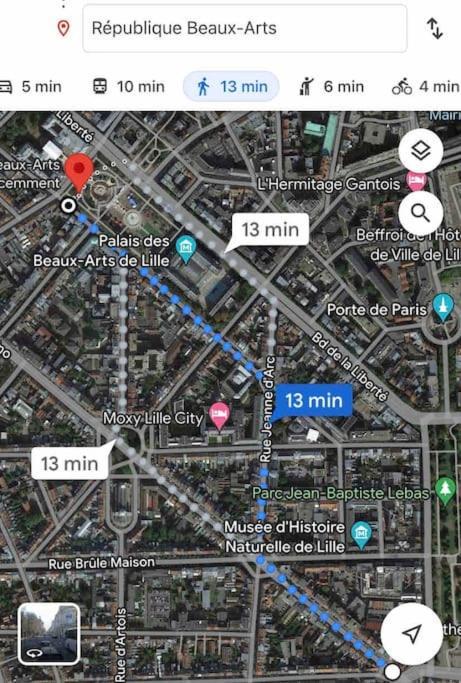 Appartement F3 & Solferino 里尔 外观 照片
